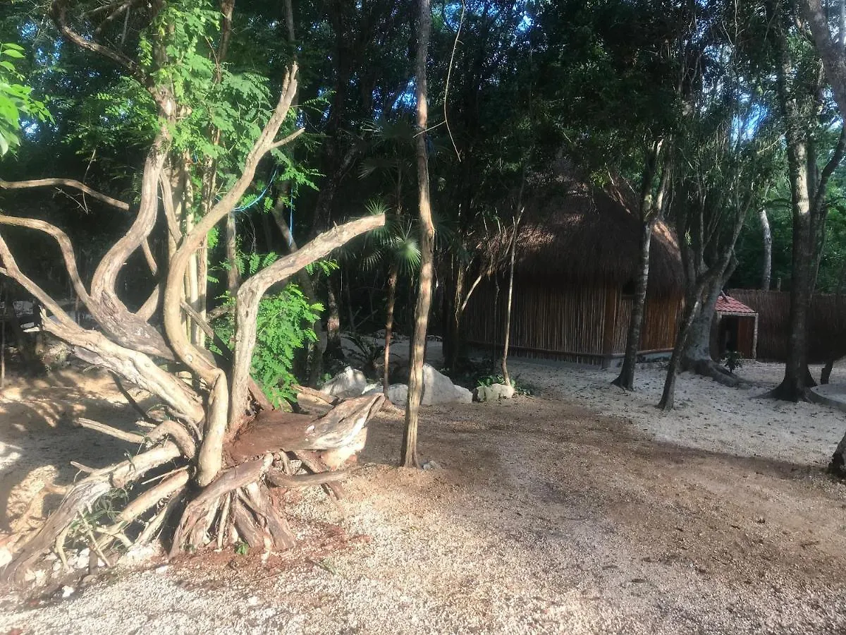 Campingplatz Hotel Tulum Nueve