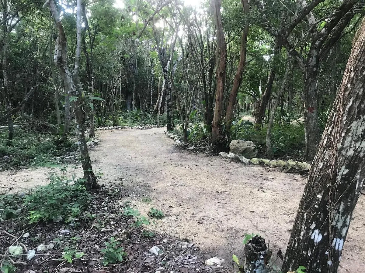 Tulum Nueve Hotel Campsite